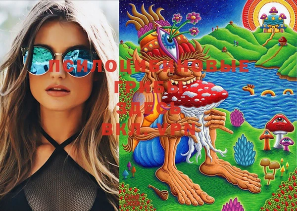 mdma Снежногорск