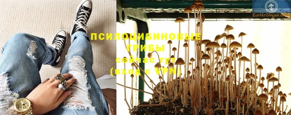 экстази Алексеевка